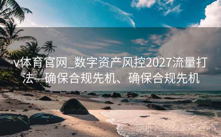v体育官网_数字资产风控2027流量打法—确保合规先机、确保合规先机