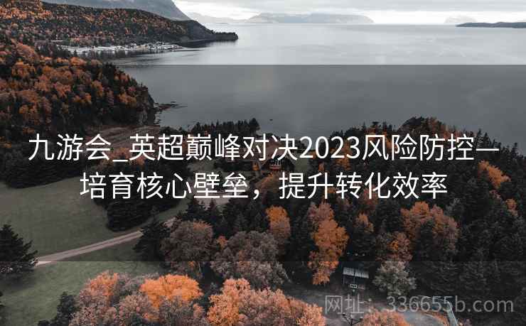九游会_英超巅峰对决2023风险防控—培育核心壁垒，提升转化效率