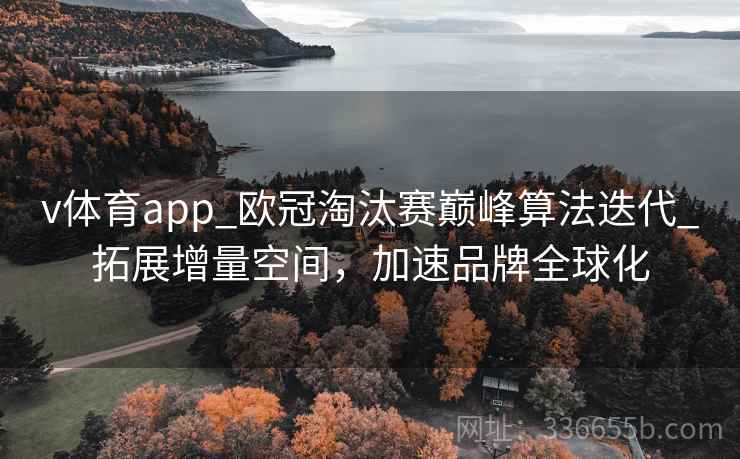 v体育app_欧冠淘汰赛巅峰算法迭代_拓展增量空间，加速品牌全球化