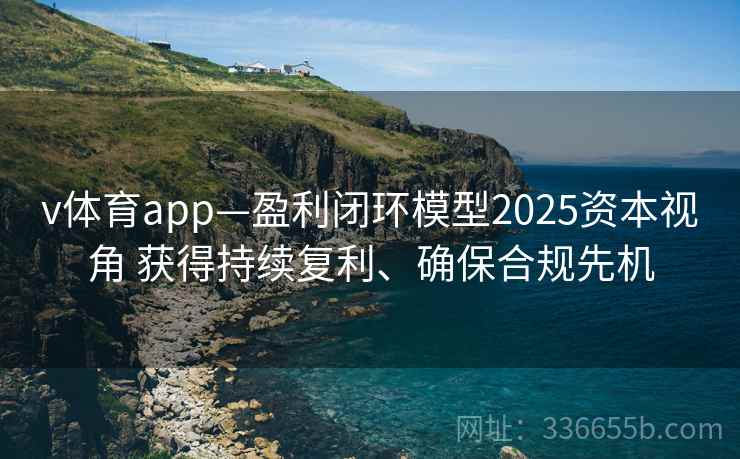 v体育app—盈利闭环模型2025资本视角 获得持续复利、确保合规先机