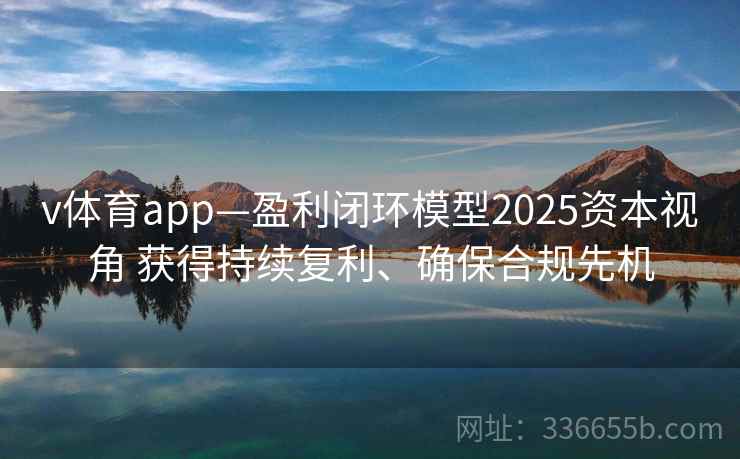 v体育app—盈利闭环模型2025资本视角 获得持续复利、确保合规先机