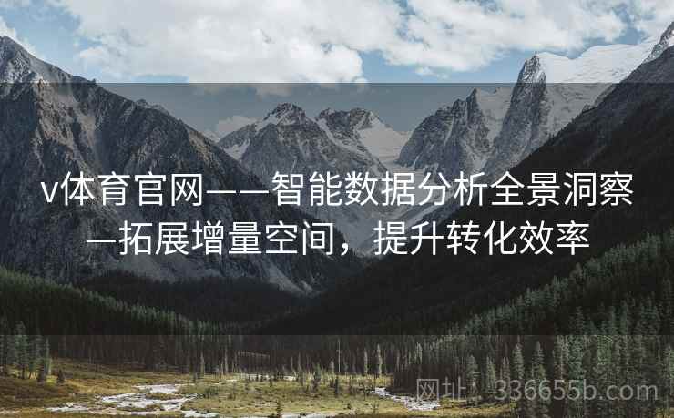 v体育官网——智能数据分析全景洞察—拓展增量空间，提升转化效率