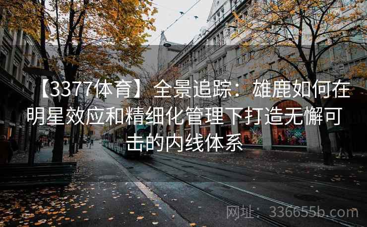 【3377体育】全景追踪：雄鹿如何在明星效应和精细化管理下打造无懈可击的内线体系