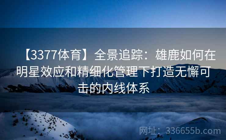 【3377体育】全景追踪：雄鹿如何在明星效应和精细化管理下打造无懈可击的内线体系