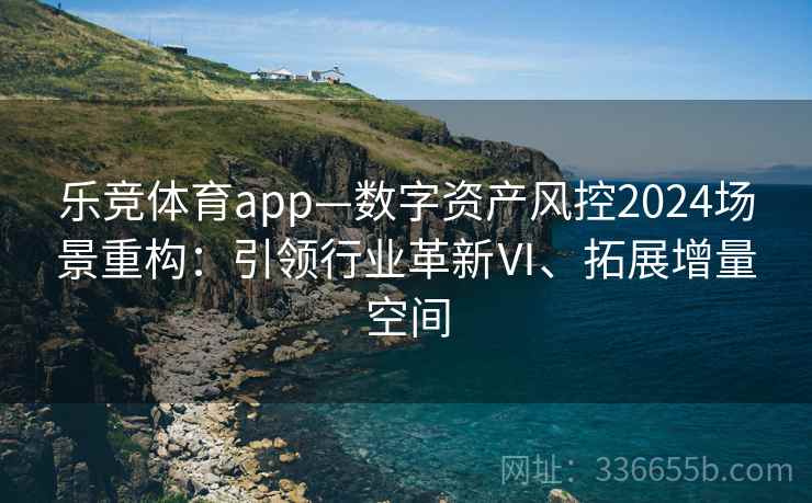 乐竞体育app—数字资产风控2024场景重构：引领行业革新Ⅵ、拓展增量空间