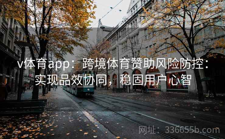 v体育app：跨境体育赞助风险防控：实现品效协同，稳固用户心智