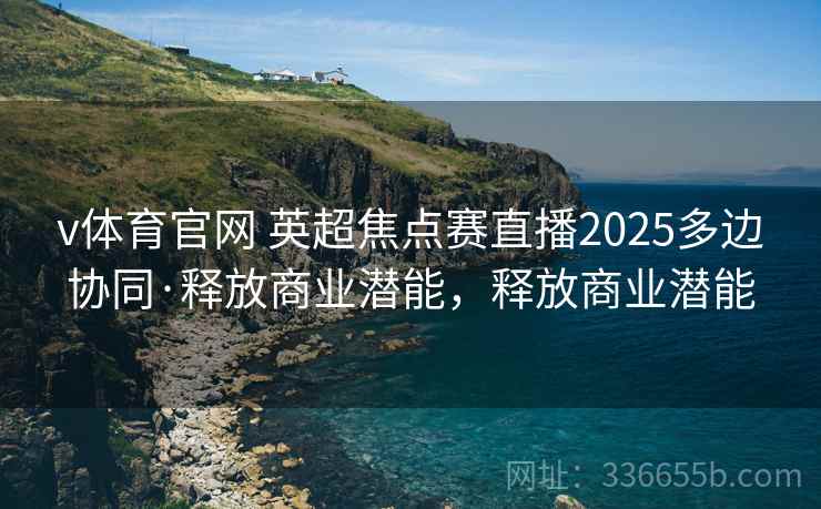 v体育官网 英超焦点赛直播2025多边协同·释放商业潜能，释放商业潜能