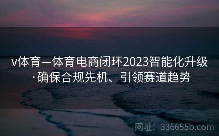 v体育—体育电商闭环2023智能化升级·确保合规先机、引领赛道趋势